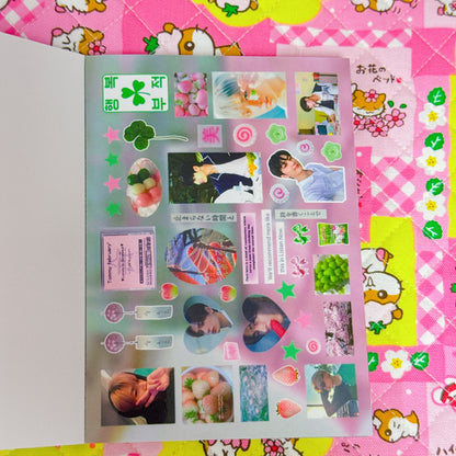 Sticker Book ♡ 45 pages