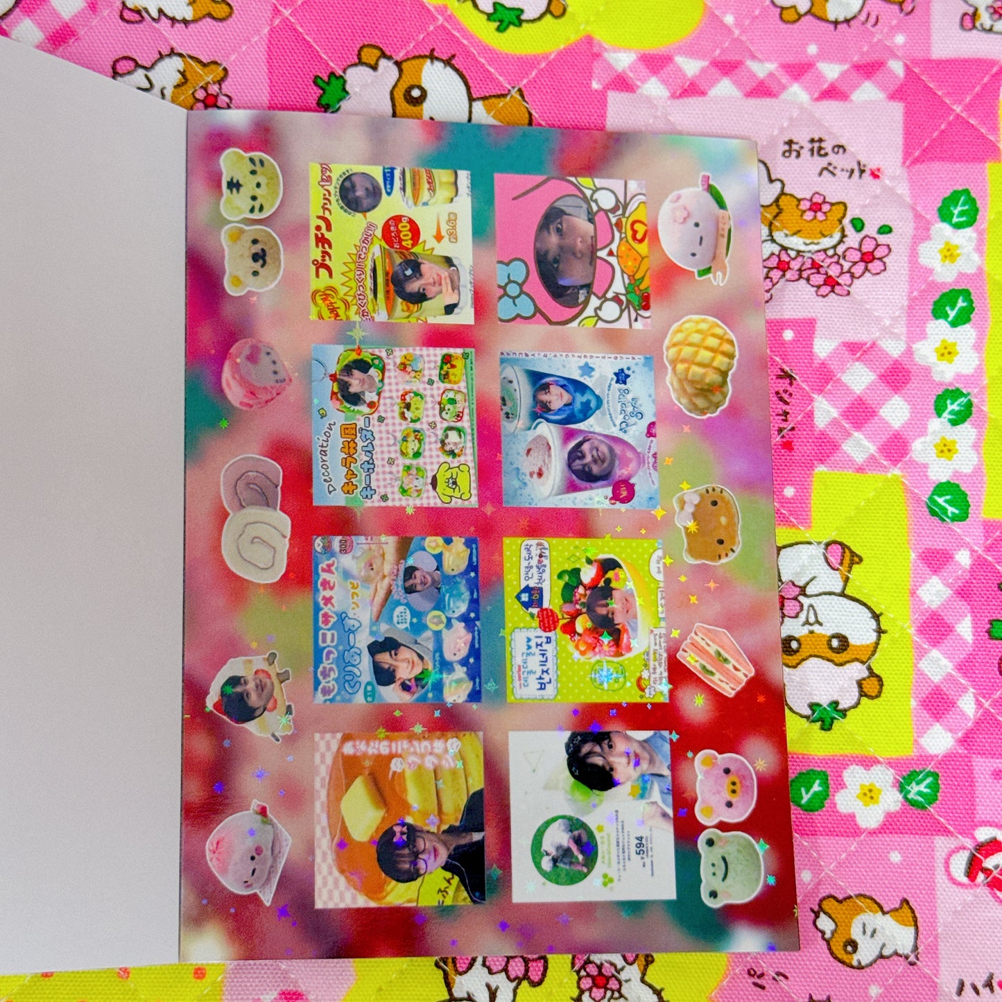 Sticker Book ♡ 45 pages