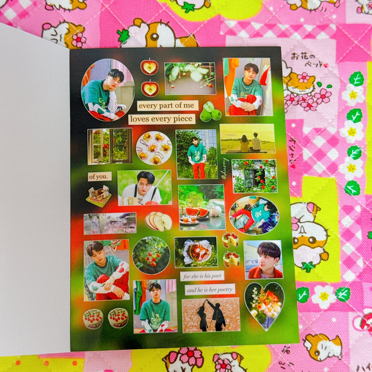 Sticker Book ♡ 30 pages