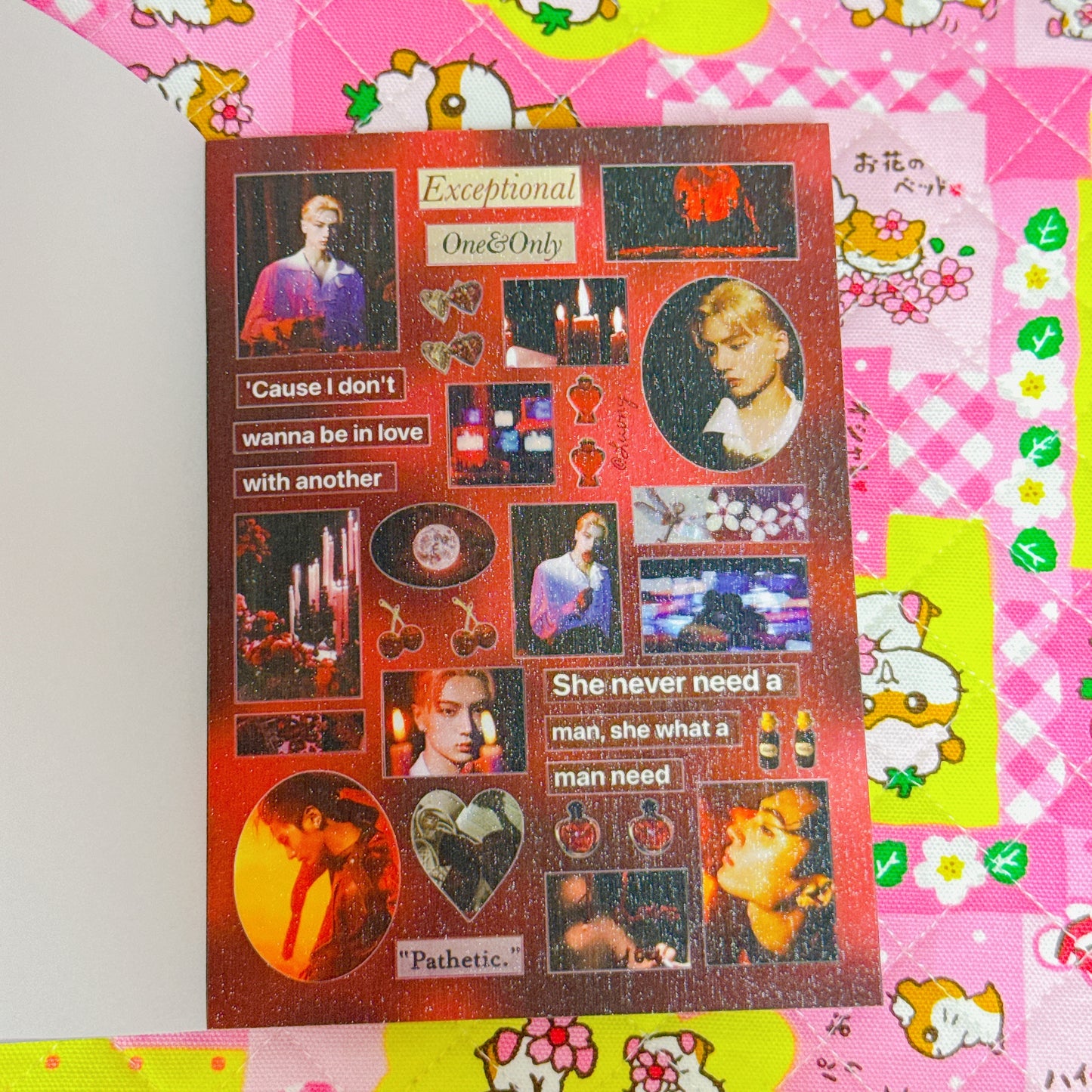 Sticker Book ♡ 30 pages