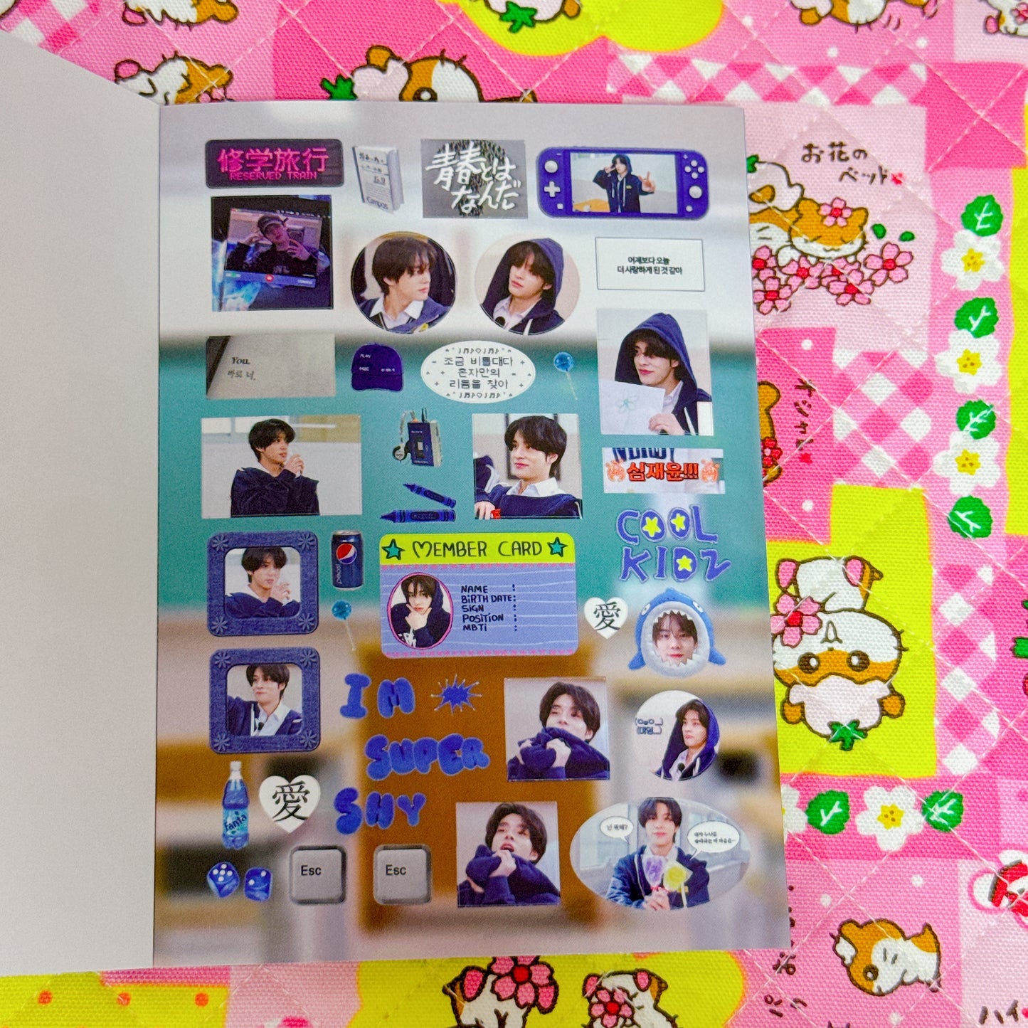[USED] Sticker Book ♡ 30 pages