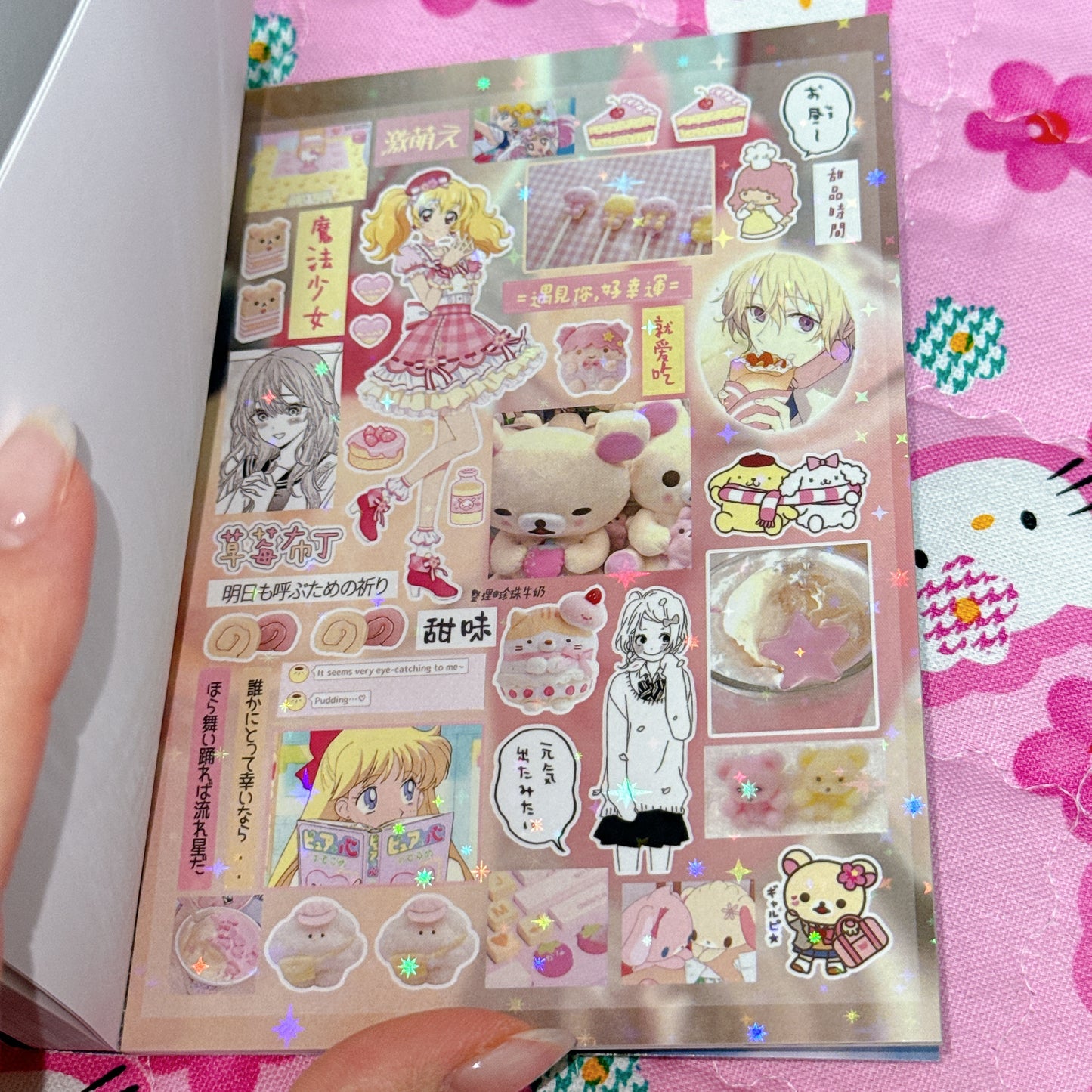 Sticker Book ♡ 43 pages