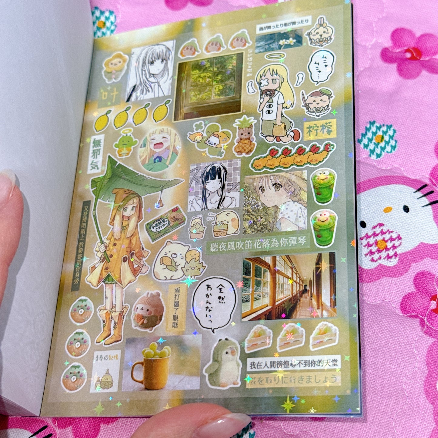 Sticker Book ♡ 43 pages