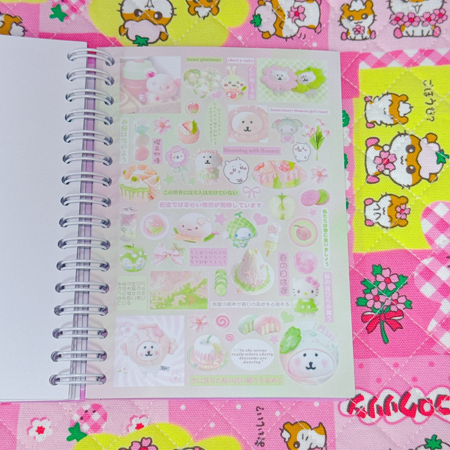 Sticker Book ♡ 40 pages