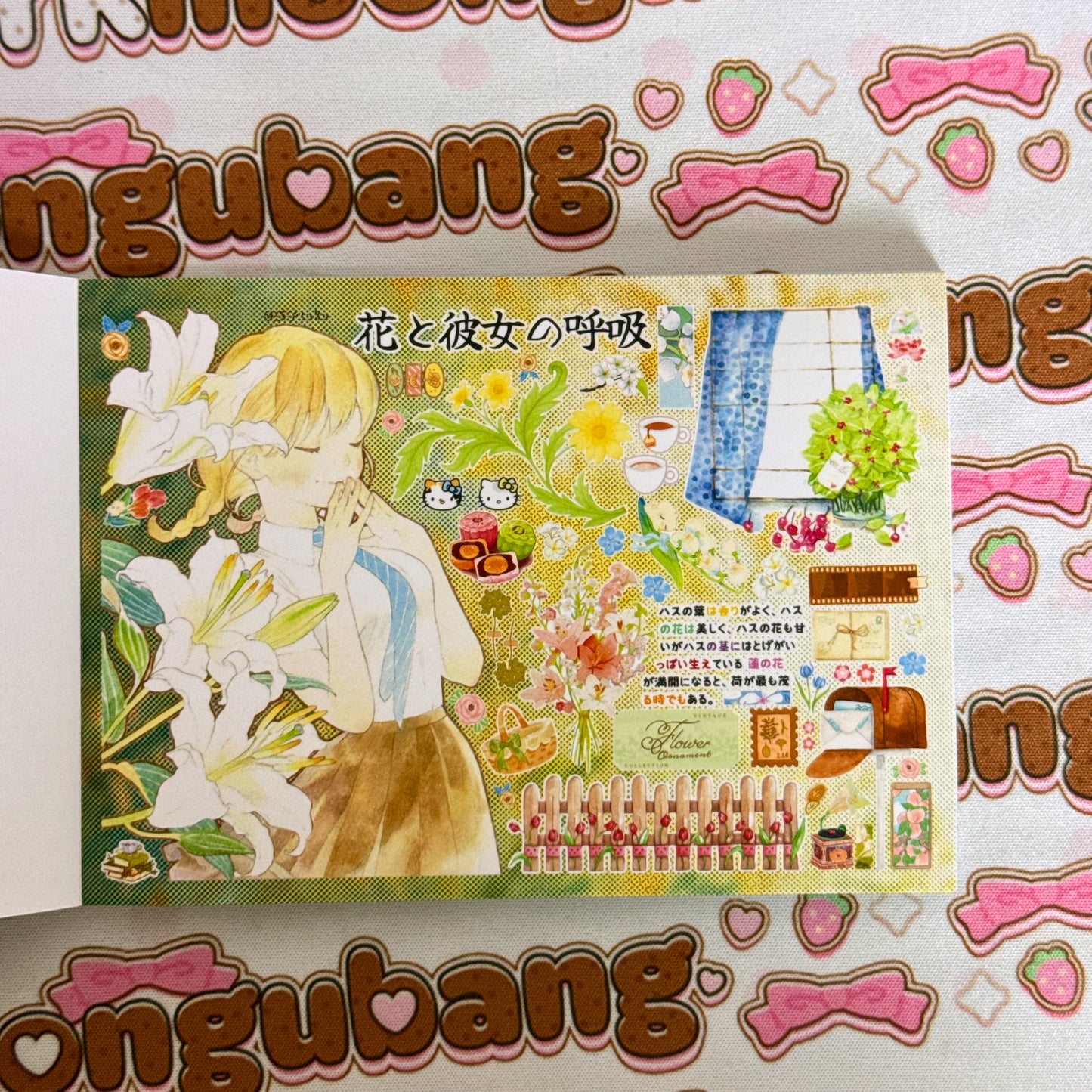 sticker book 40 pages