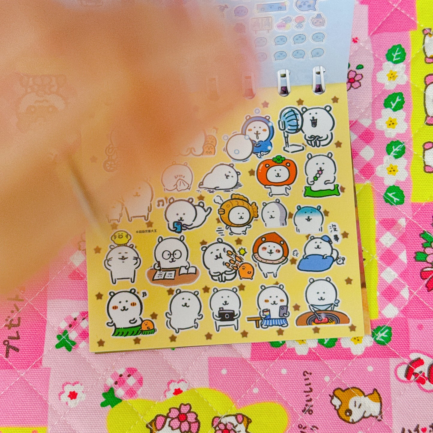 Sticker Book ♡ 38 pages