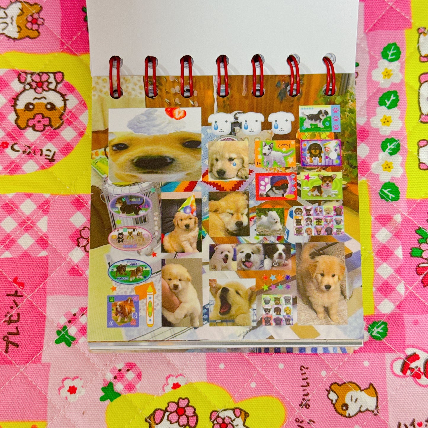 Sticker Book ♡ 50 pages