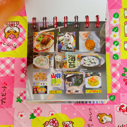Sticker Book ♡ 50 pages
