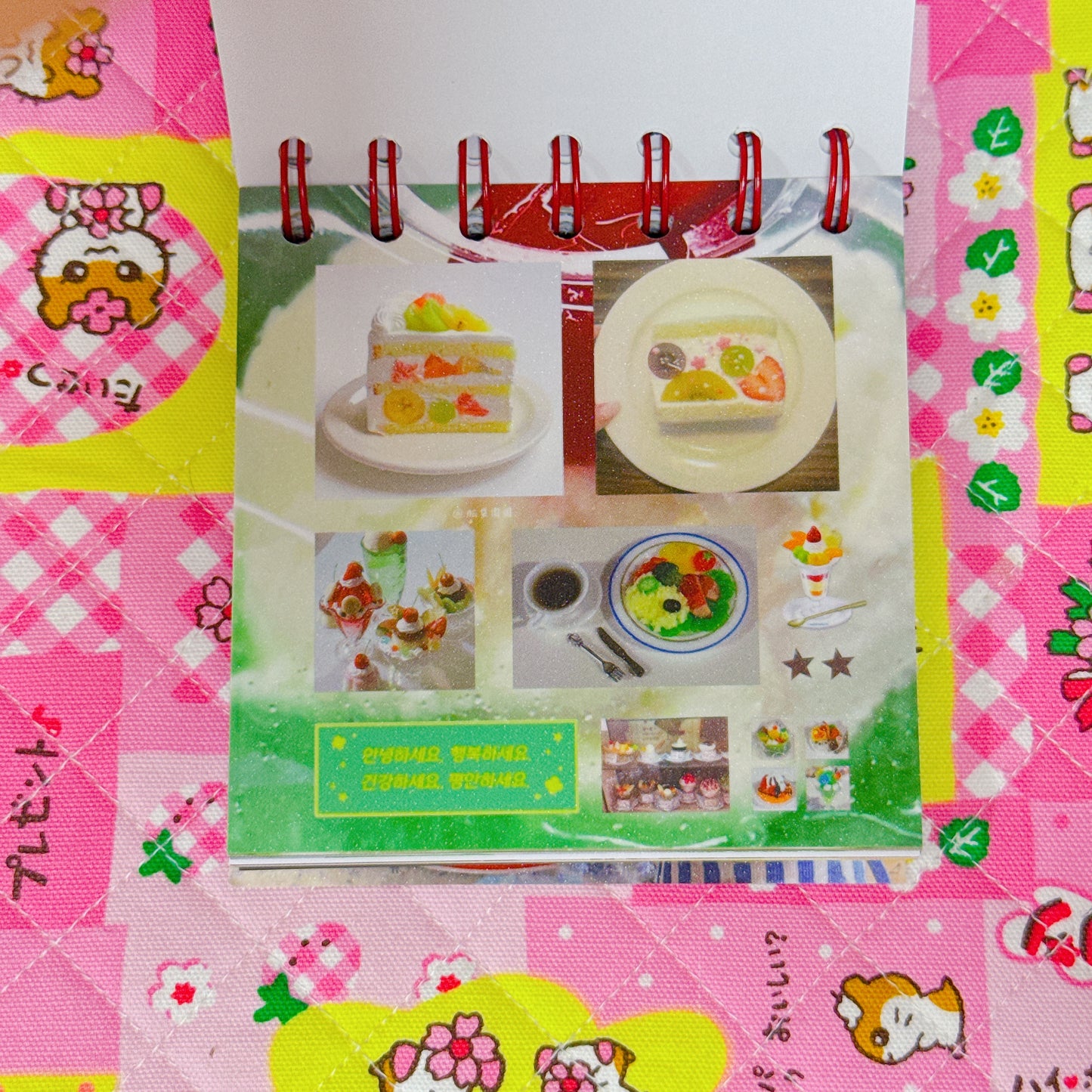 Sticker Book ♡ 50 pages