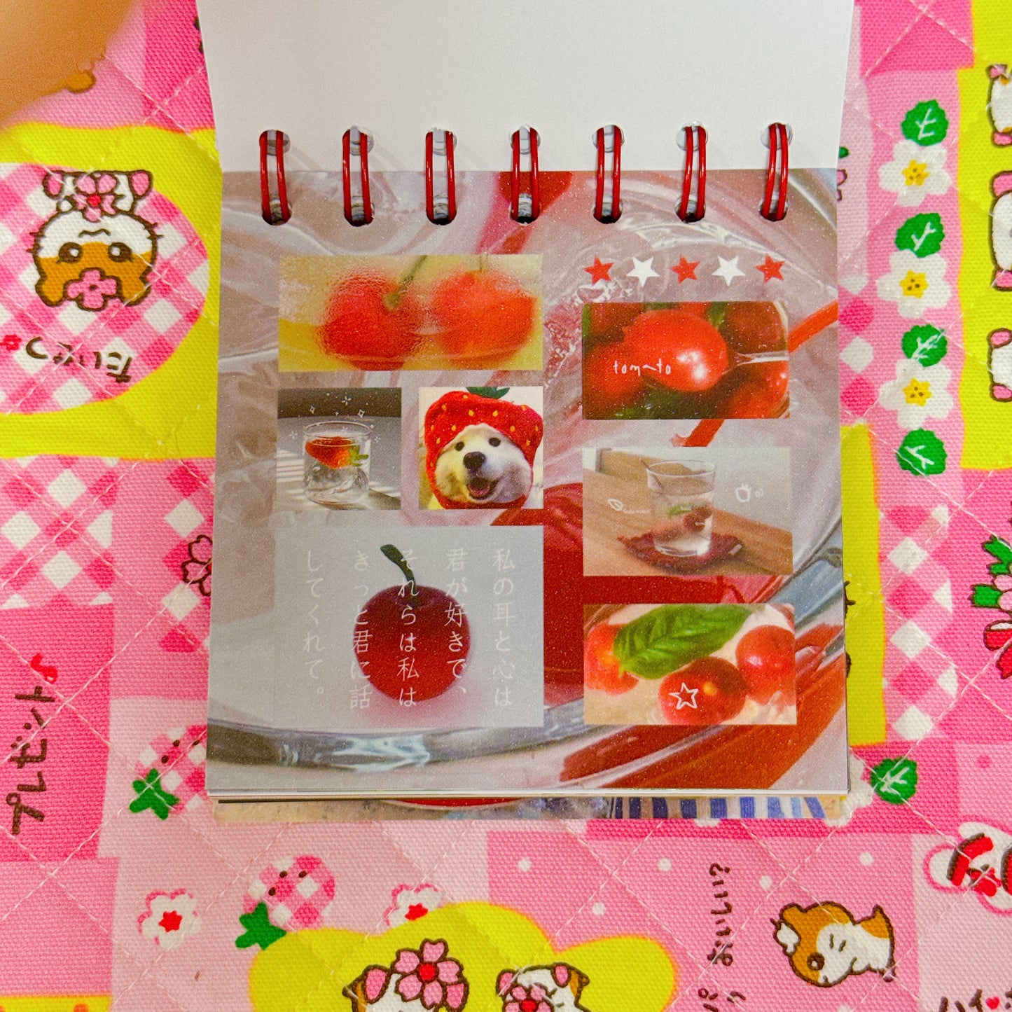 Sticker Book ♡ 50 pages