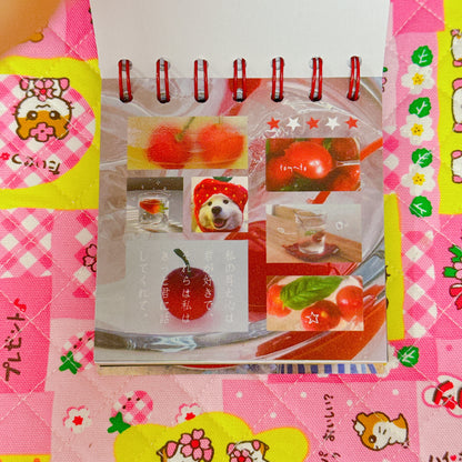 Sticker Book ♡ 50 pages
