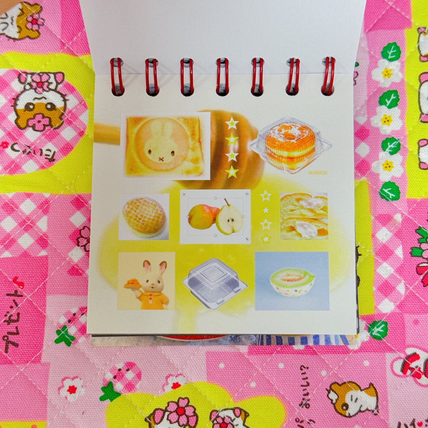 Sticker Book ♡ 50 pages