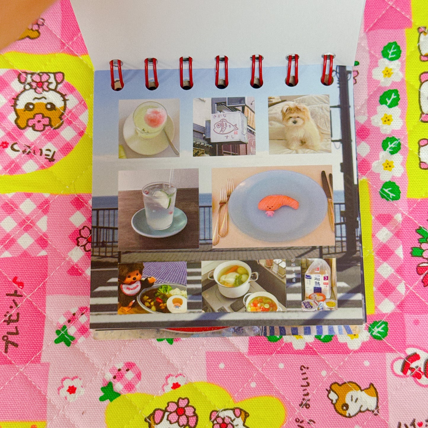 Sticker Book ♡ 50 pages