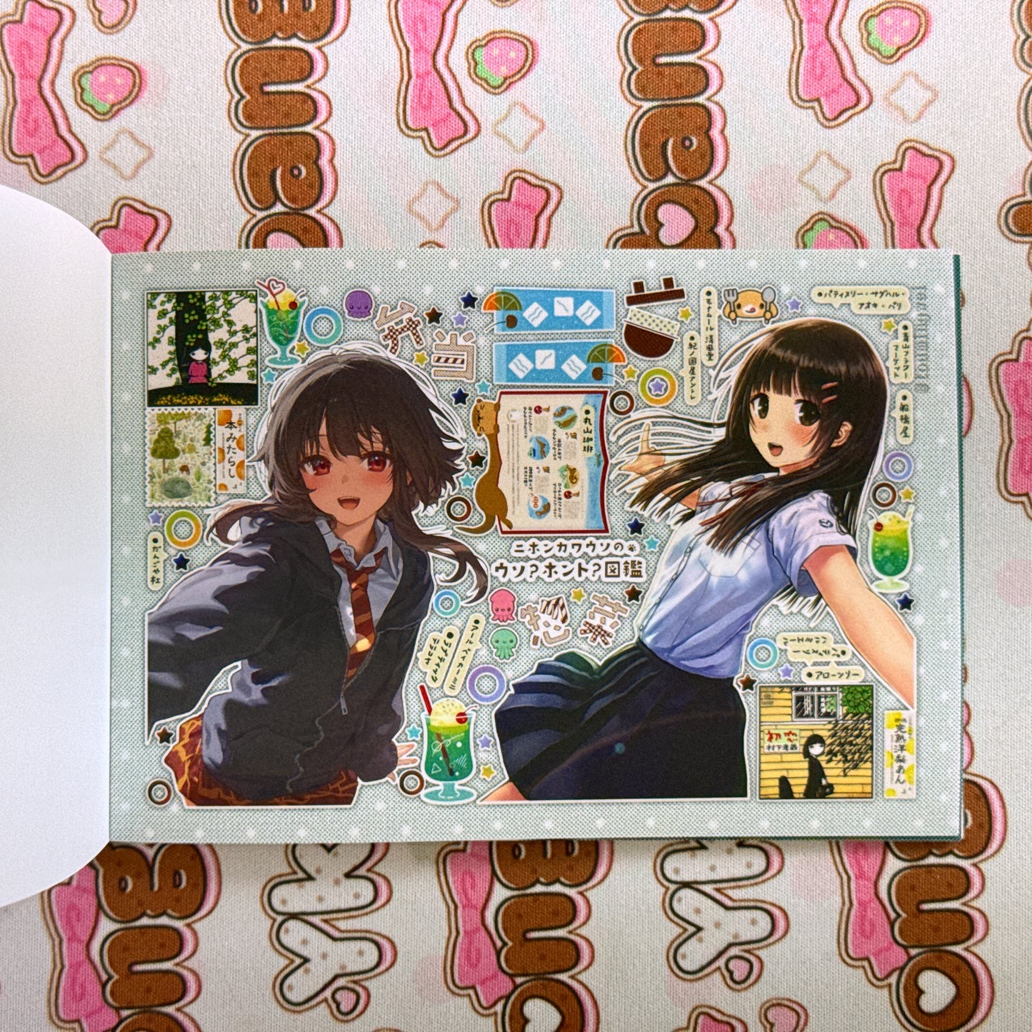 sticker book 40 pages