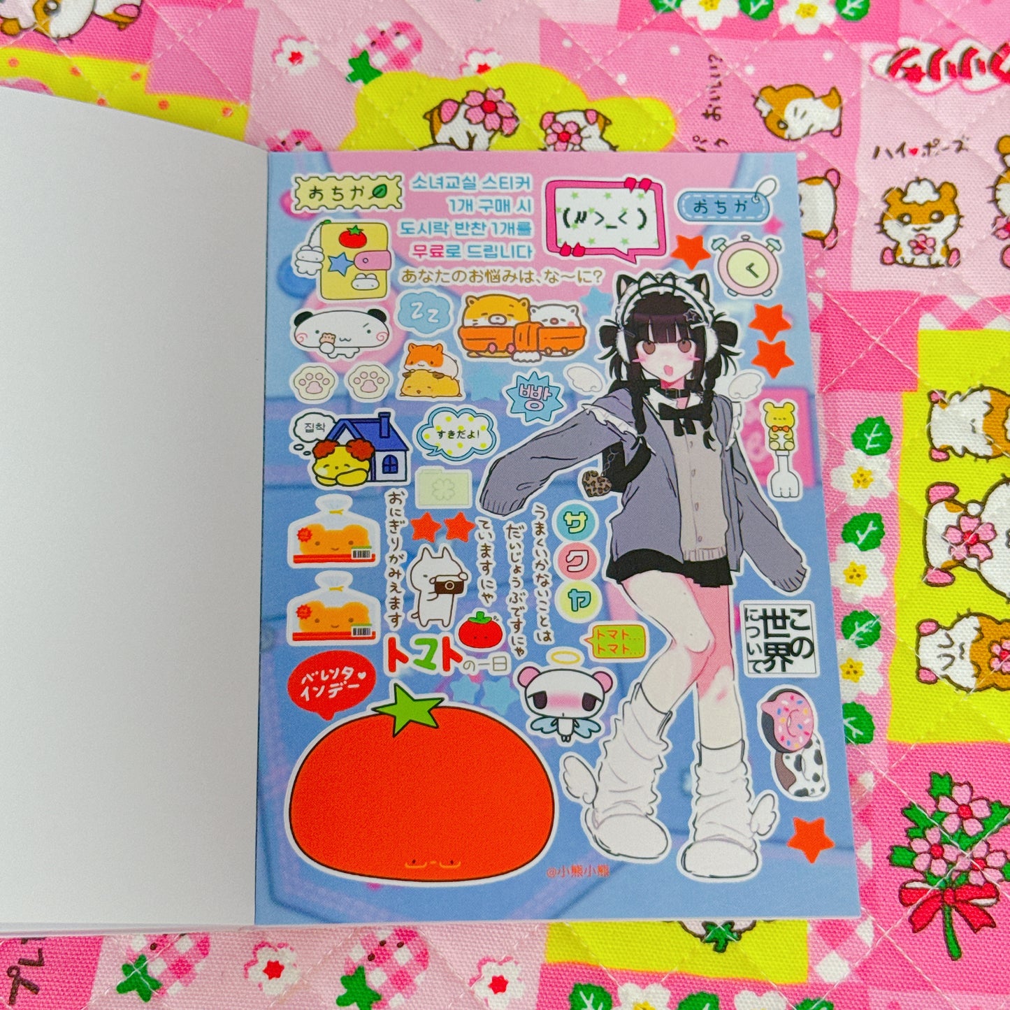 Sticker Book ♡ 35 pages