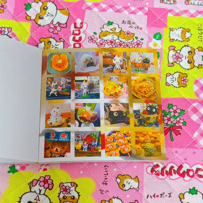 Sticker Book ♡ 30 pages