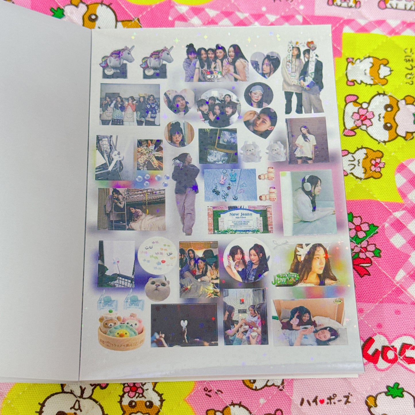 Sticker Book ♡ 25 pages