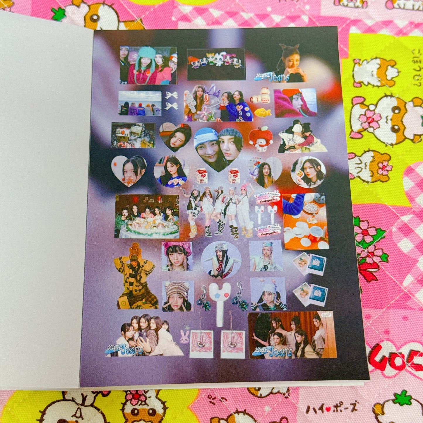 Sticker Book ♡ 25 pages