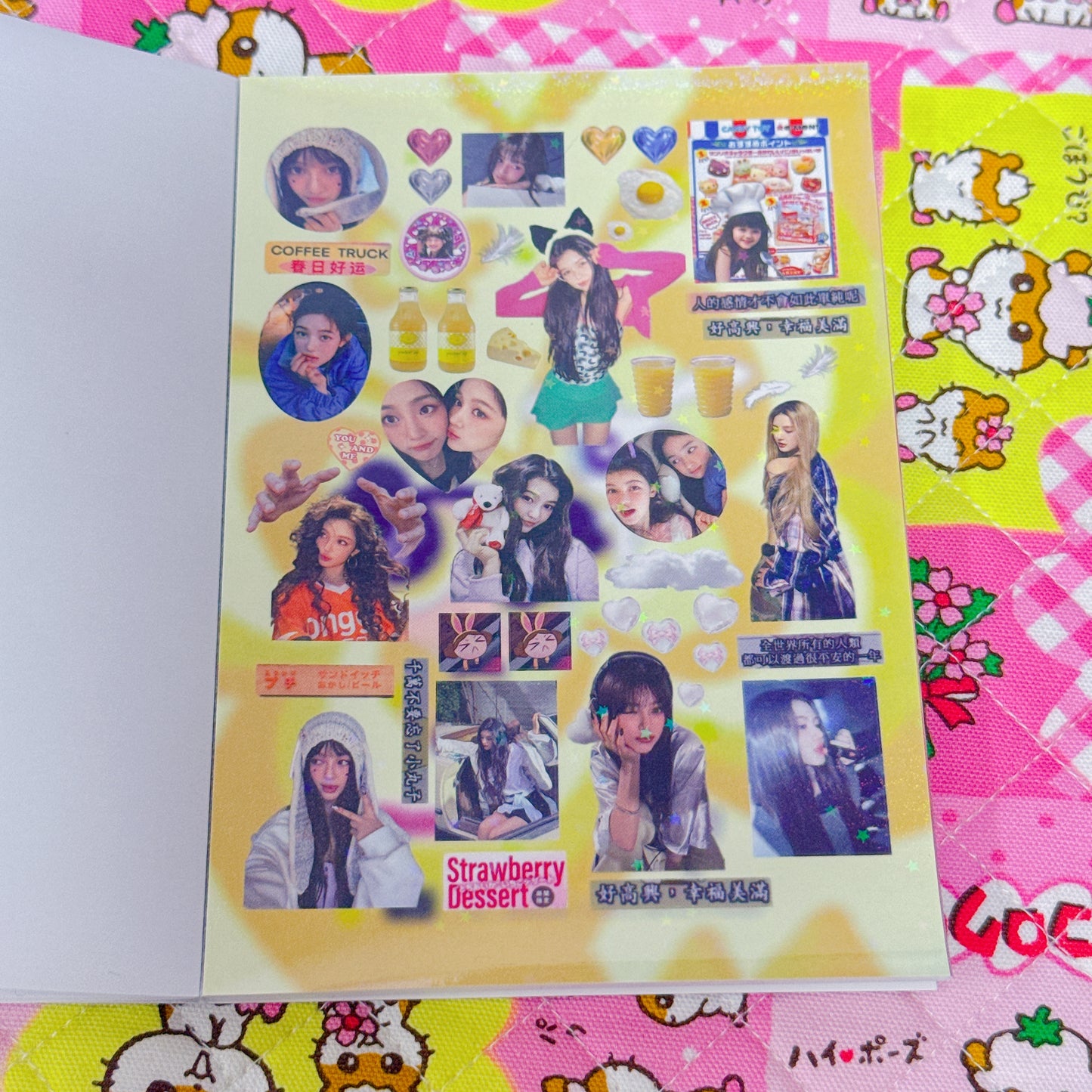 Sticker Book ♡ 25 pages