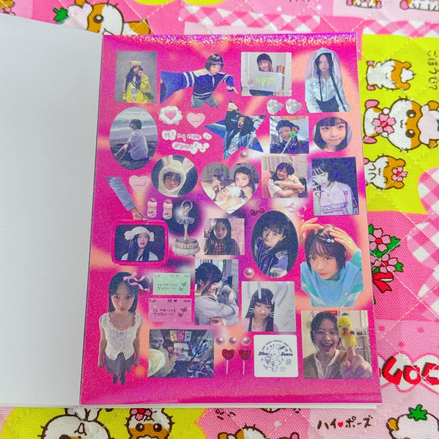 Sticker Book ♡ 25 pages