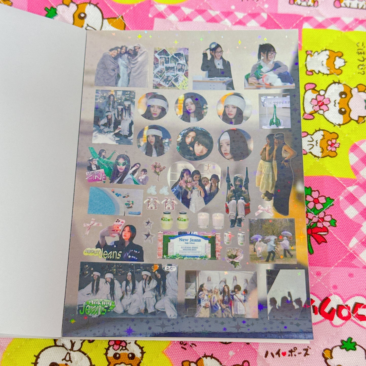 Sticker Book ♡ 25 pages