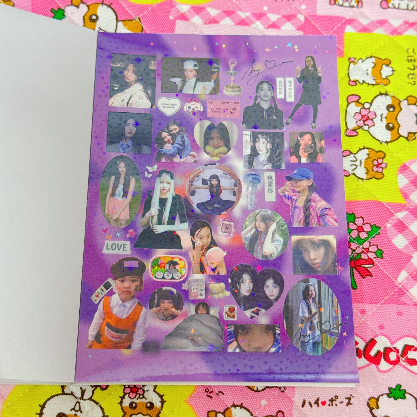 Sticker Book ♡ 25 pages