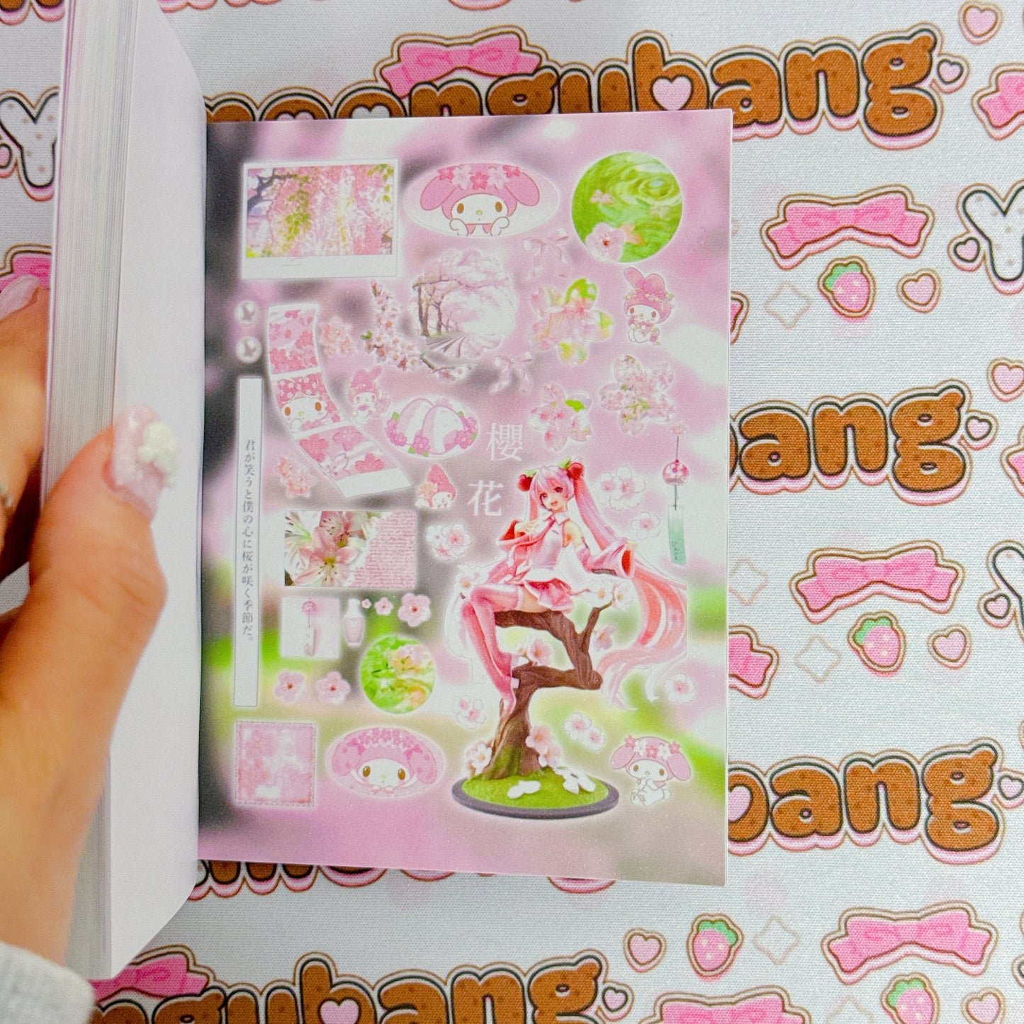 Sticker Book ♡ 30 pages