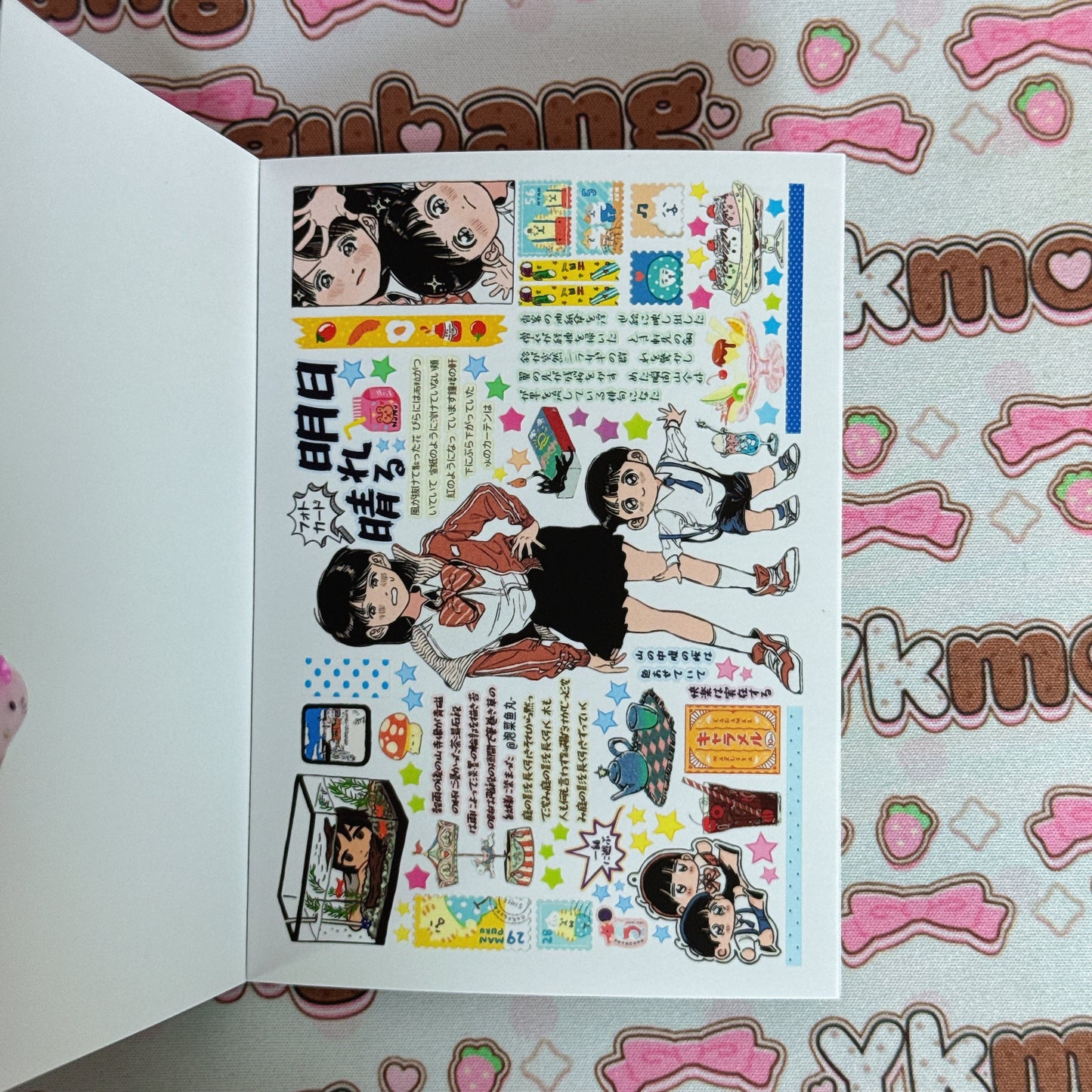 sticker book 40 pages