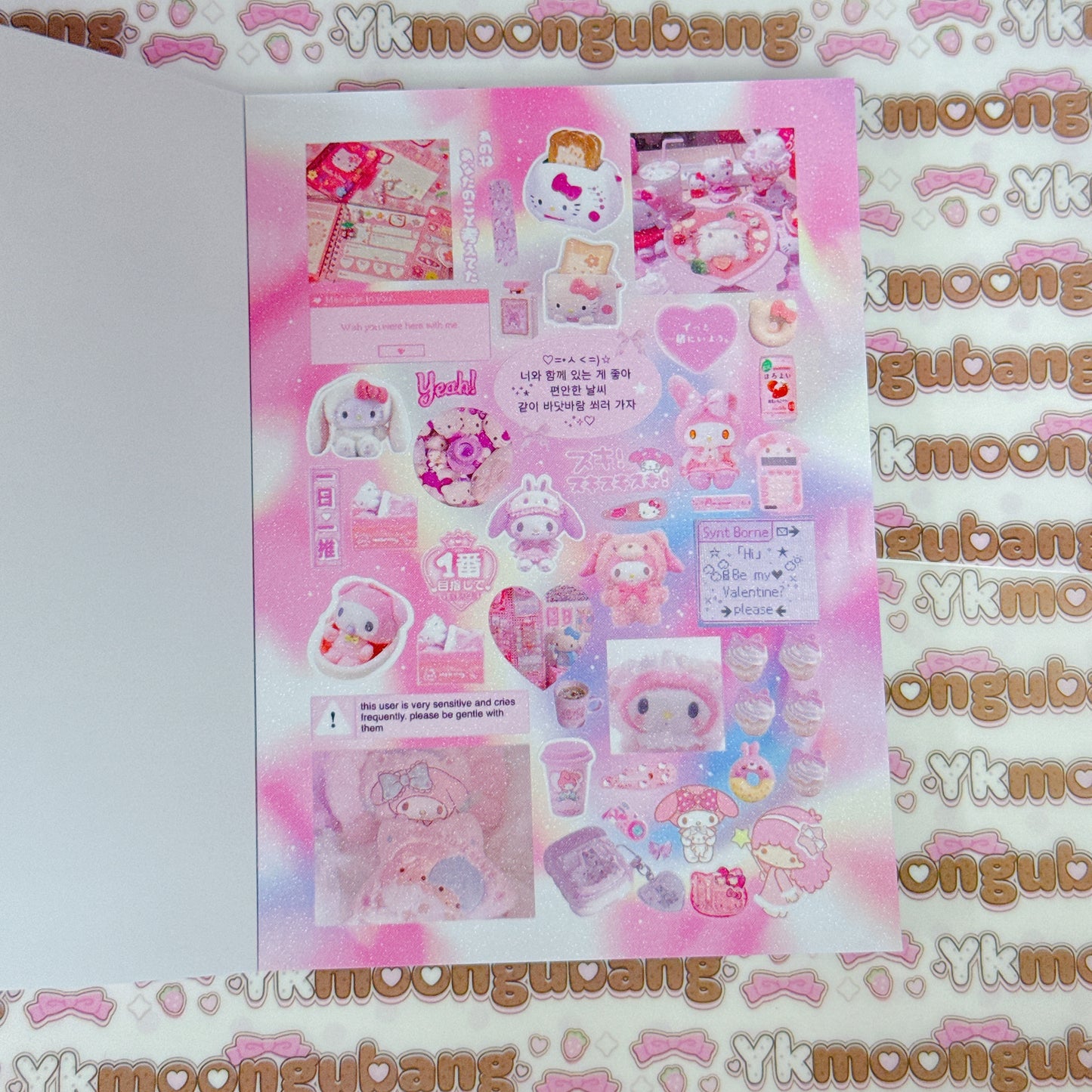 Sticker Book ♡ 30 pages