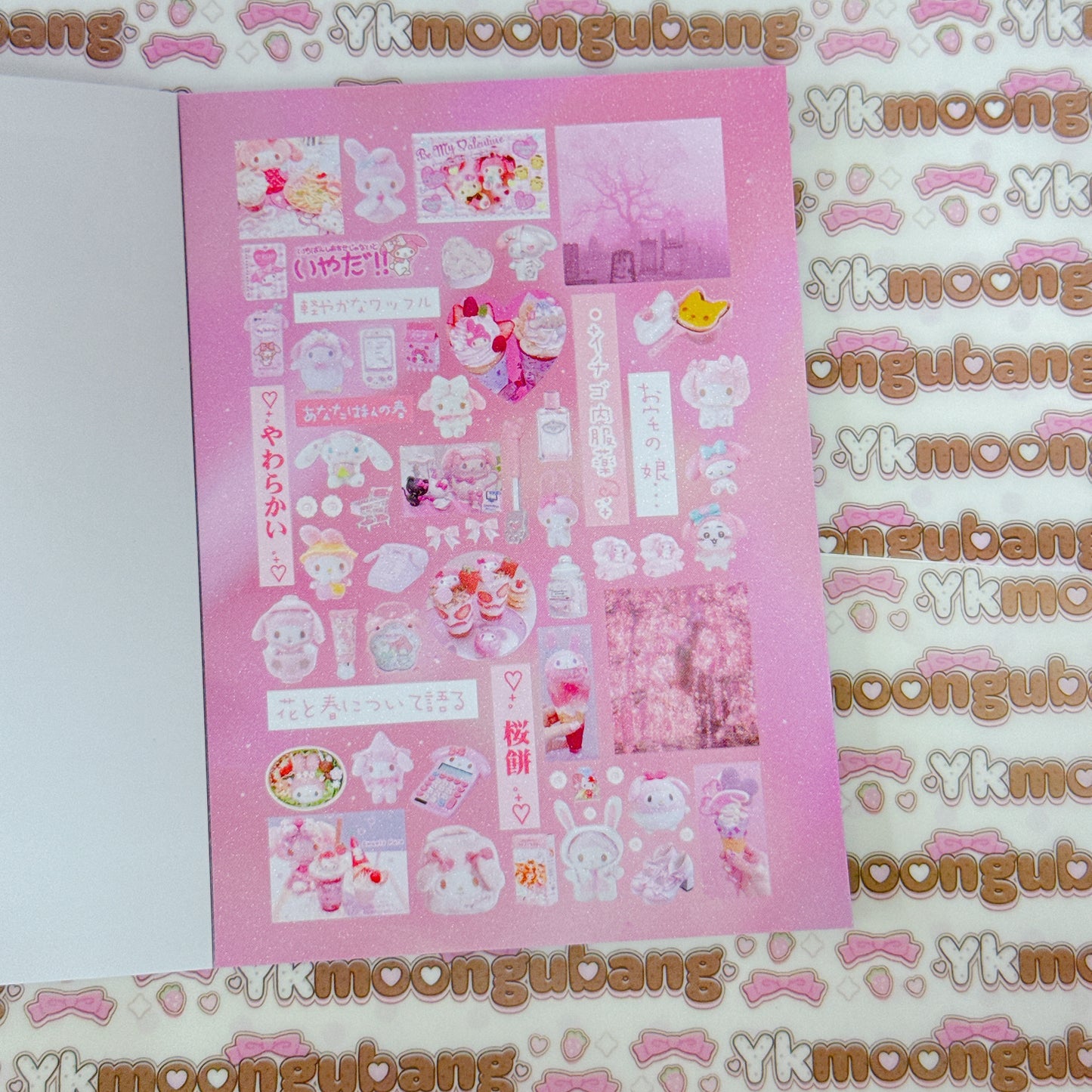 Sticker Book ♡ 30 pages