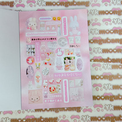 Sticker Book ♡ 30 pages
