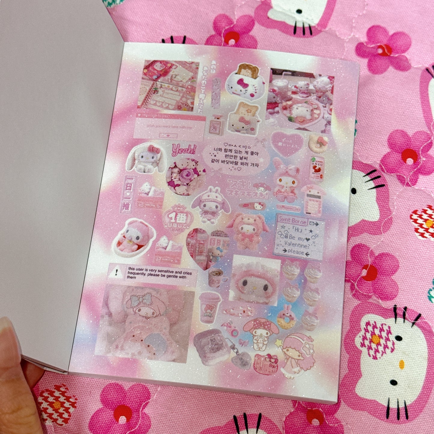 Sticker Book ♡ 30 pages