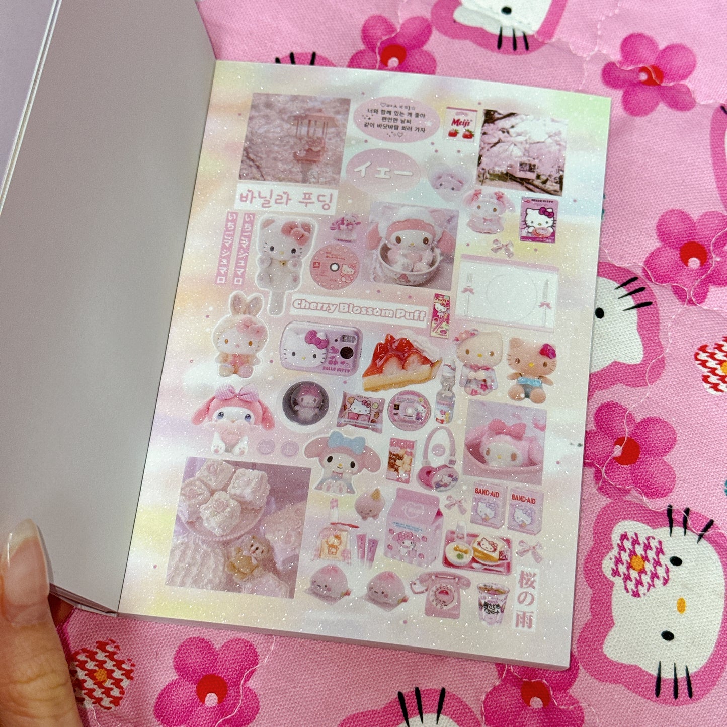 Sticker Book ♡ 30 pages