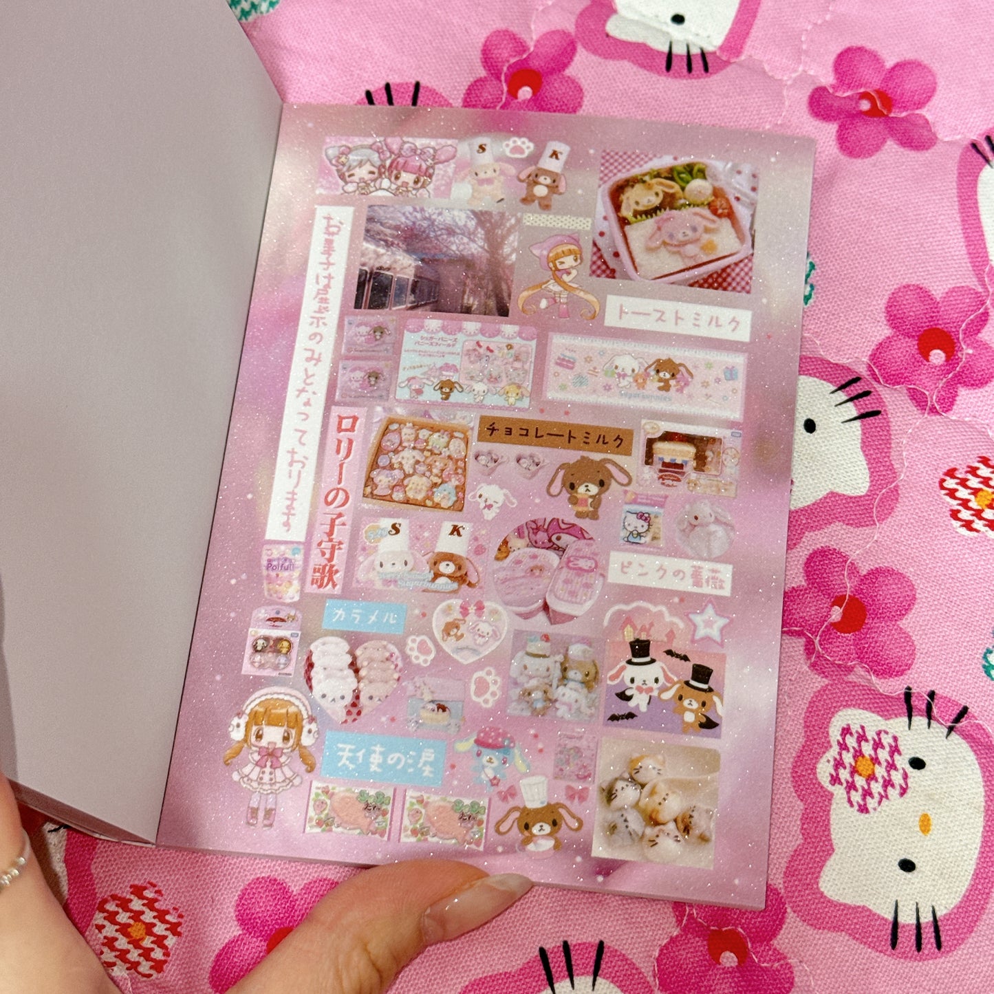 Sticker Book ♡ 30 pages