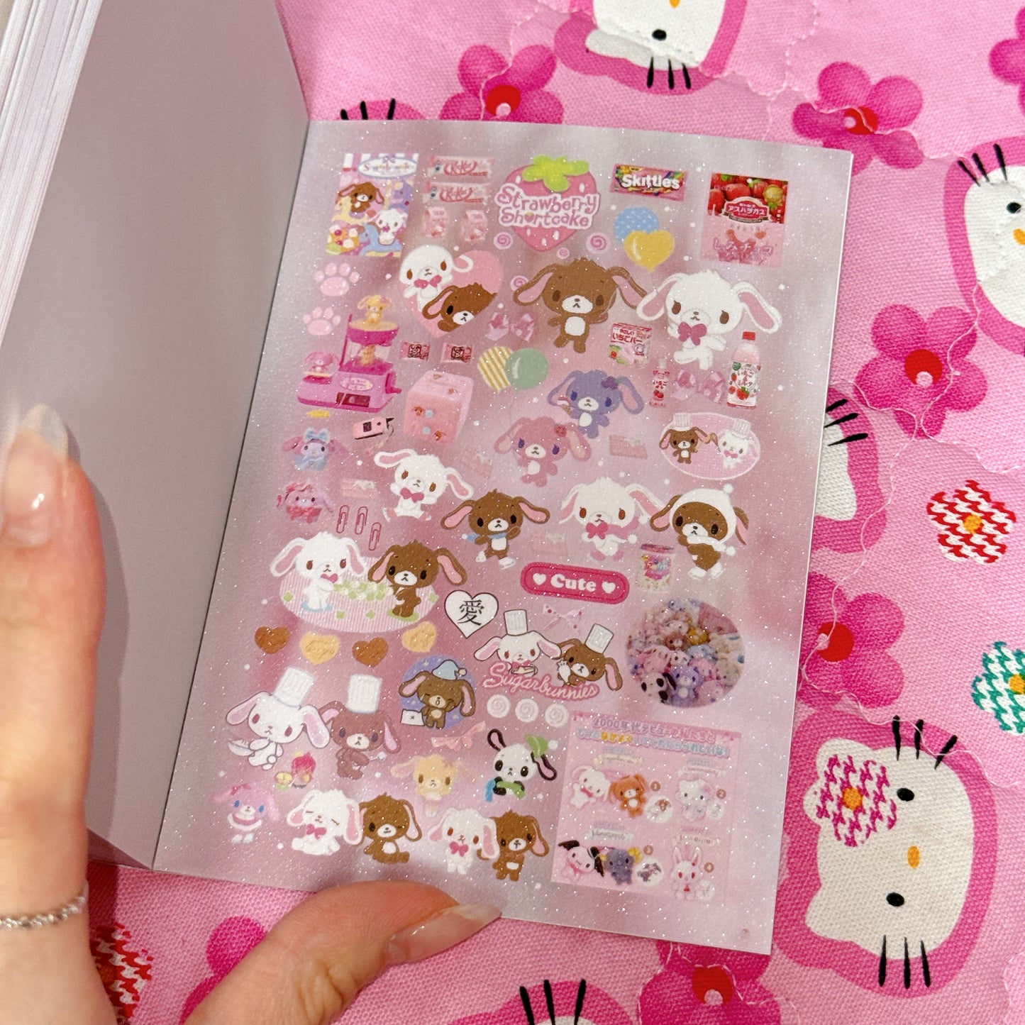 Sticker Book ♡ 30 pages