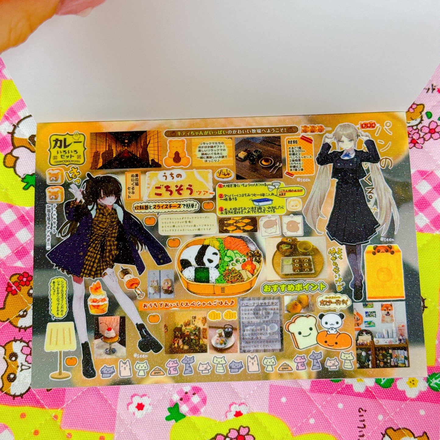Sticker Book ♡ 30 pages