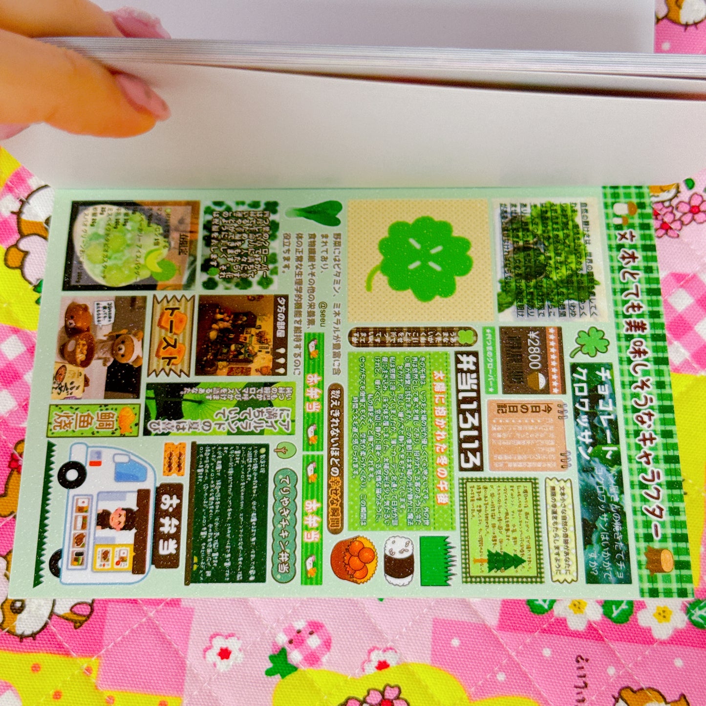 Sticker Book ♡ 30 pages
