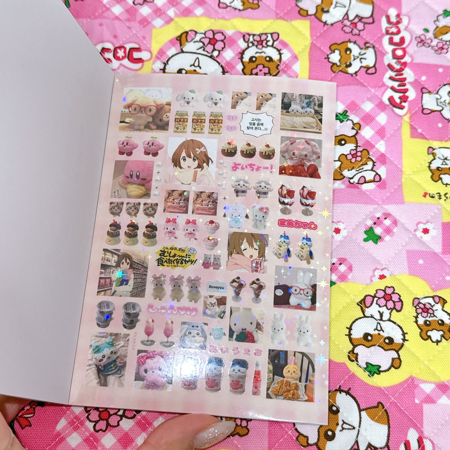 Sticker Book ♡ 30 pages