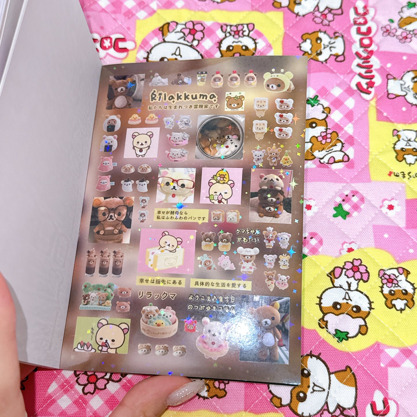 Sticker Book ♡ 30 pages