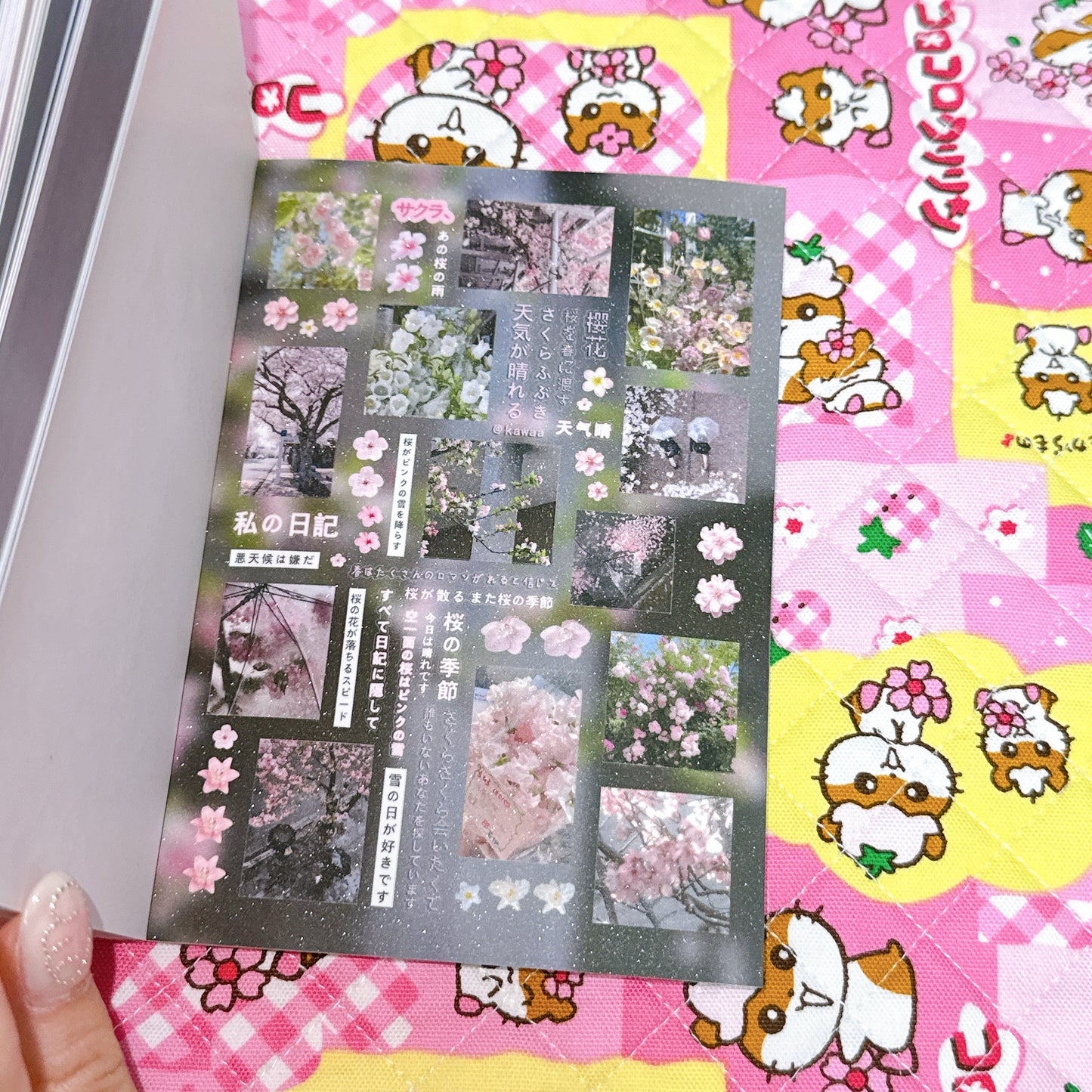 Sticker Book ♡ 30 pages