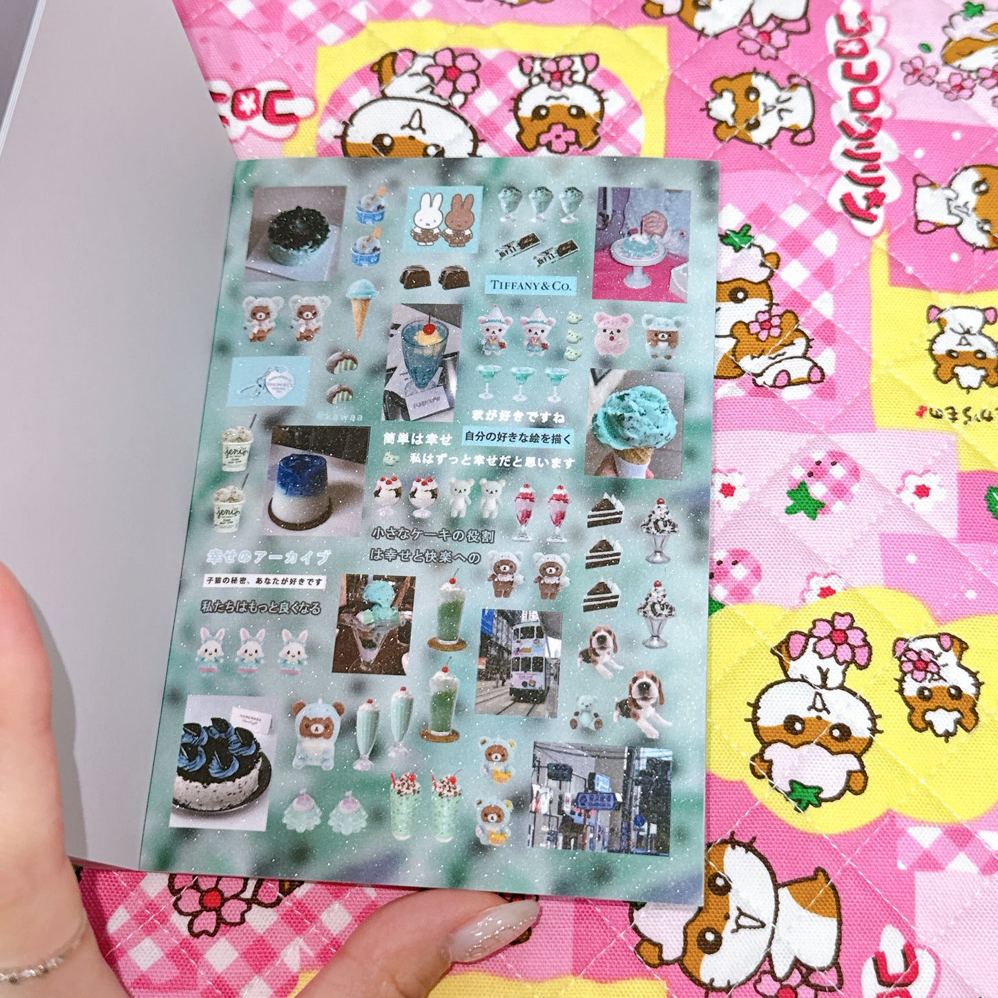 Sticker Book ♡ 30 pages