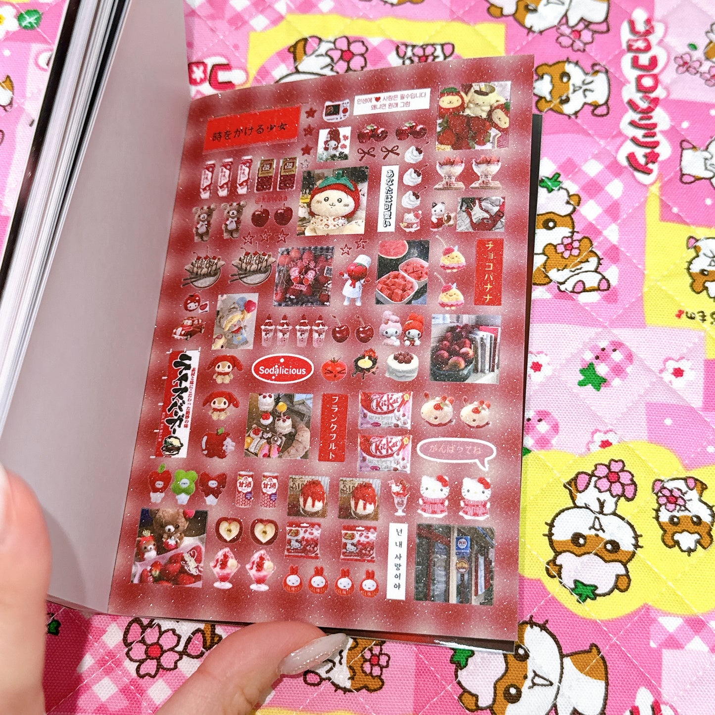 Sticker Book ♡ 30 pages