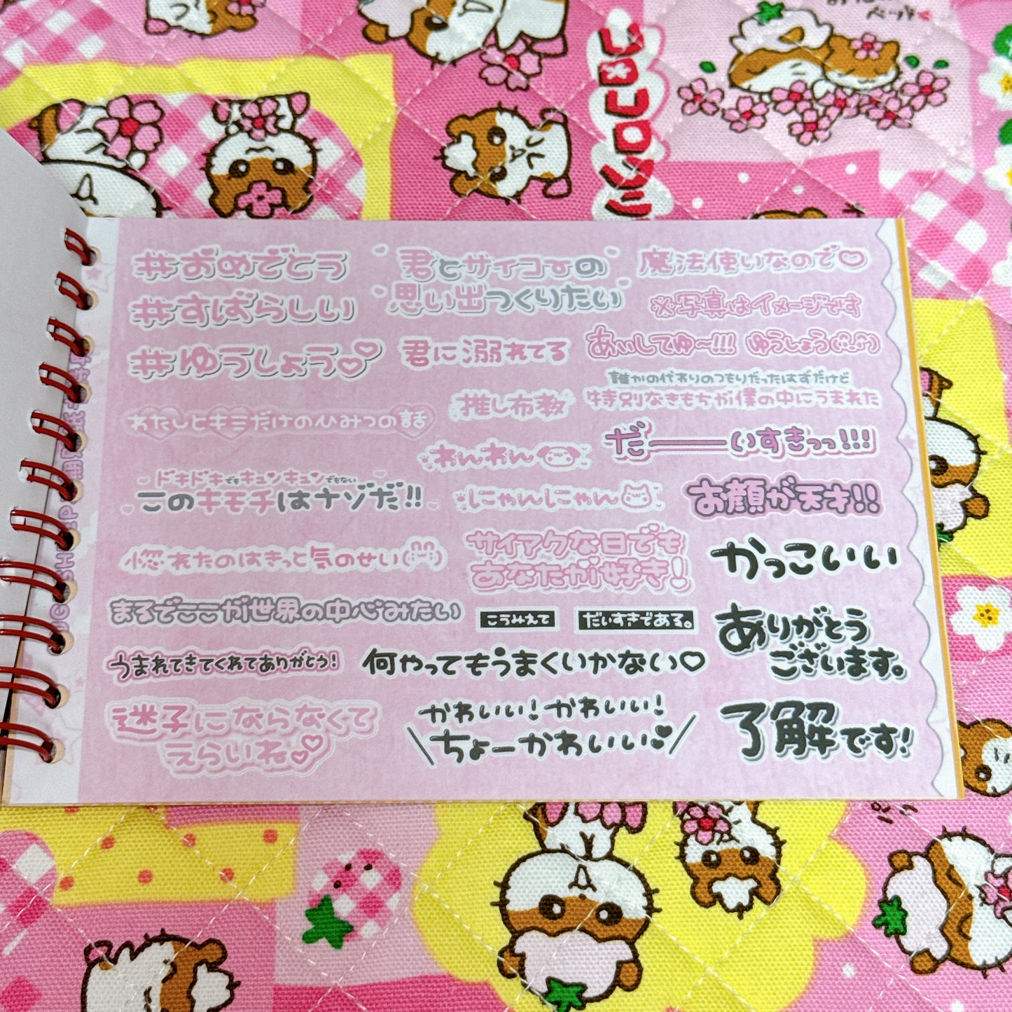 Sticker Book ♡ 30 pages