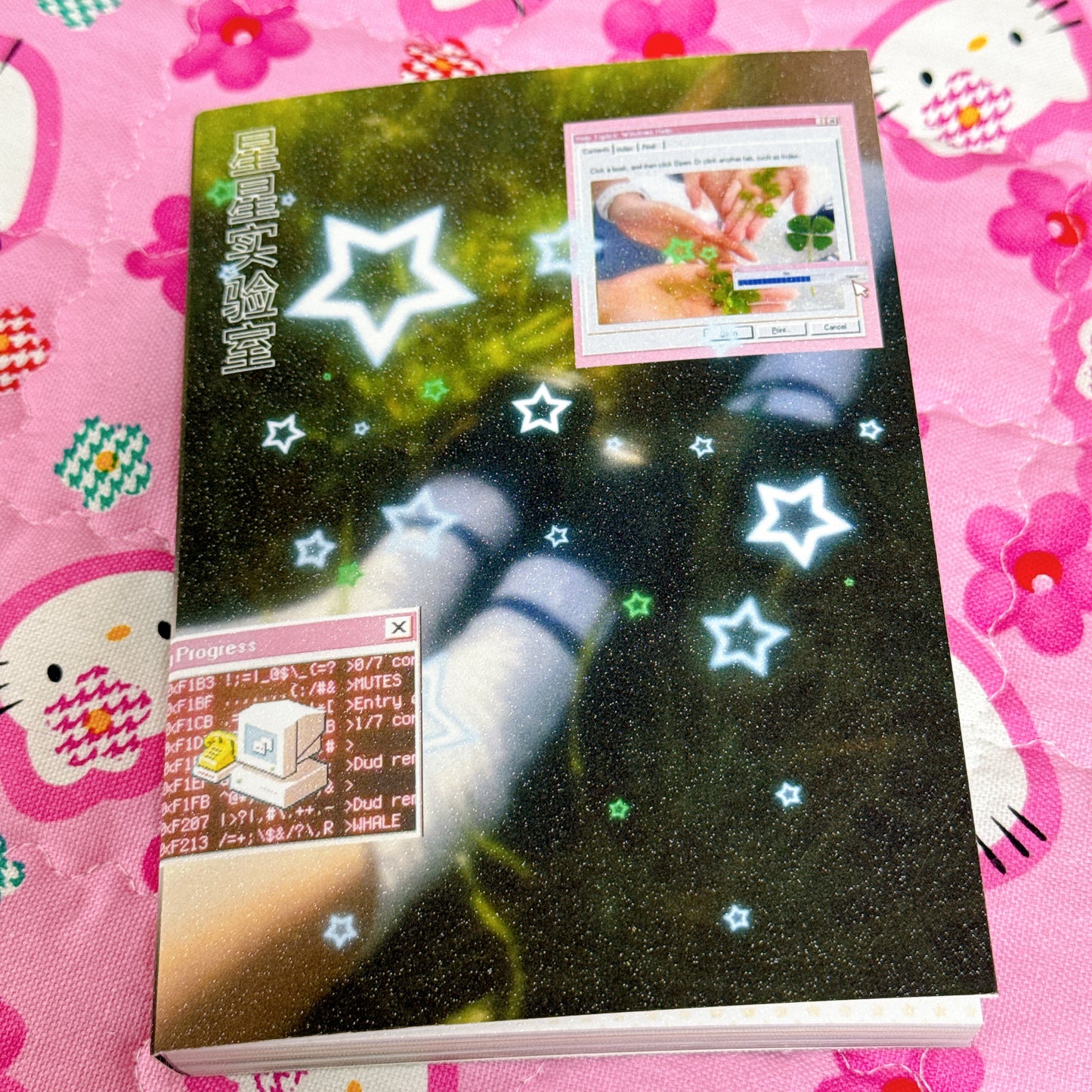 Sticker Book ♡ 45 pages