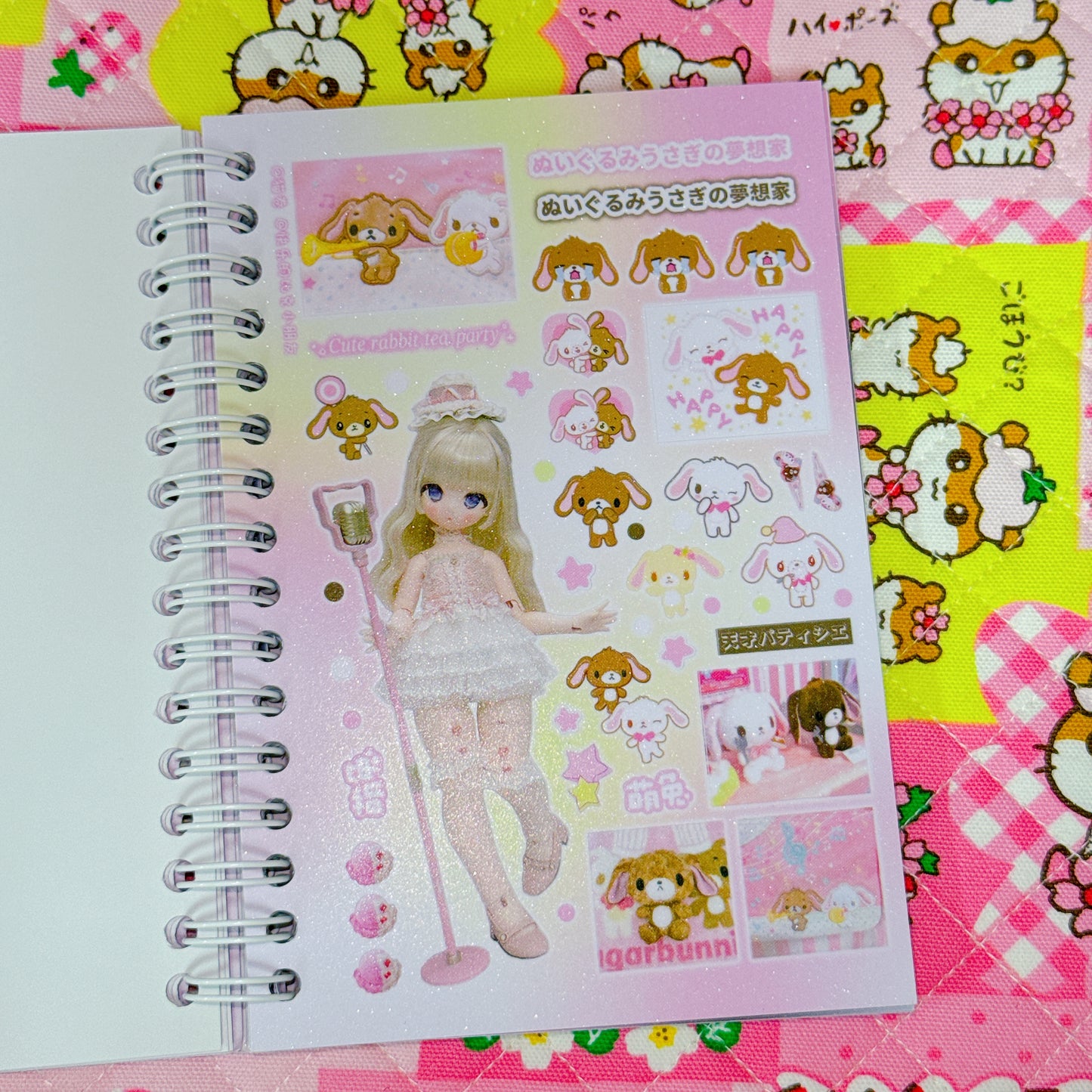 Sticker Book ♡ 30 pages (glossy sand)