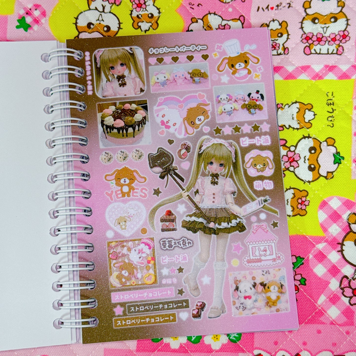 Sticker Book ♡ 30 pages (glossy sand)