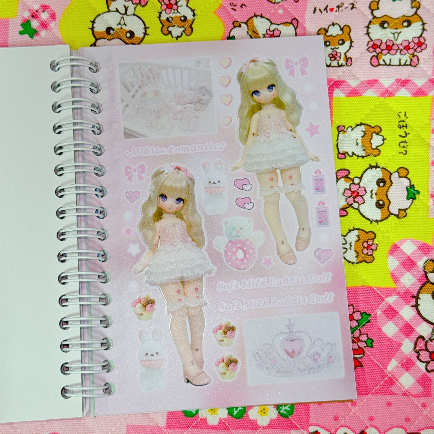 Sticker Book ♡ 30 pages (glossy sand)