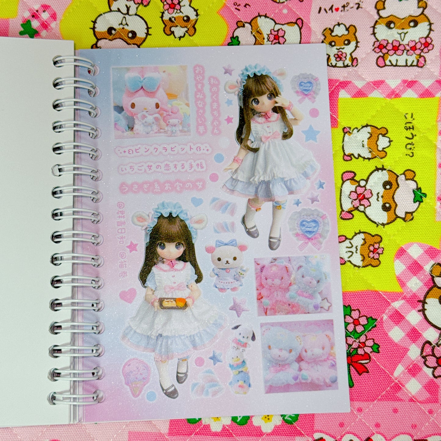 Sticker Book ♡ 30 pages (glossy sand)