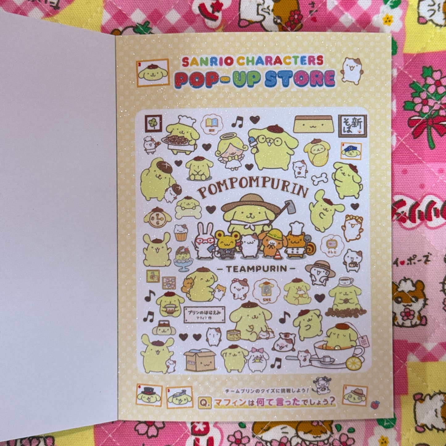Sticker Book ♡ 37 pages