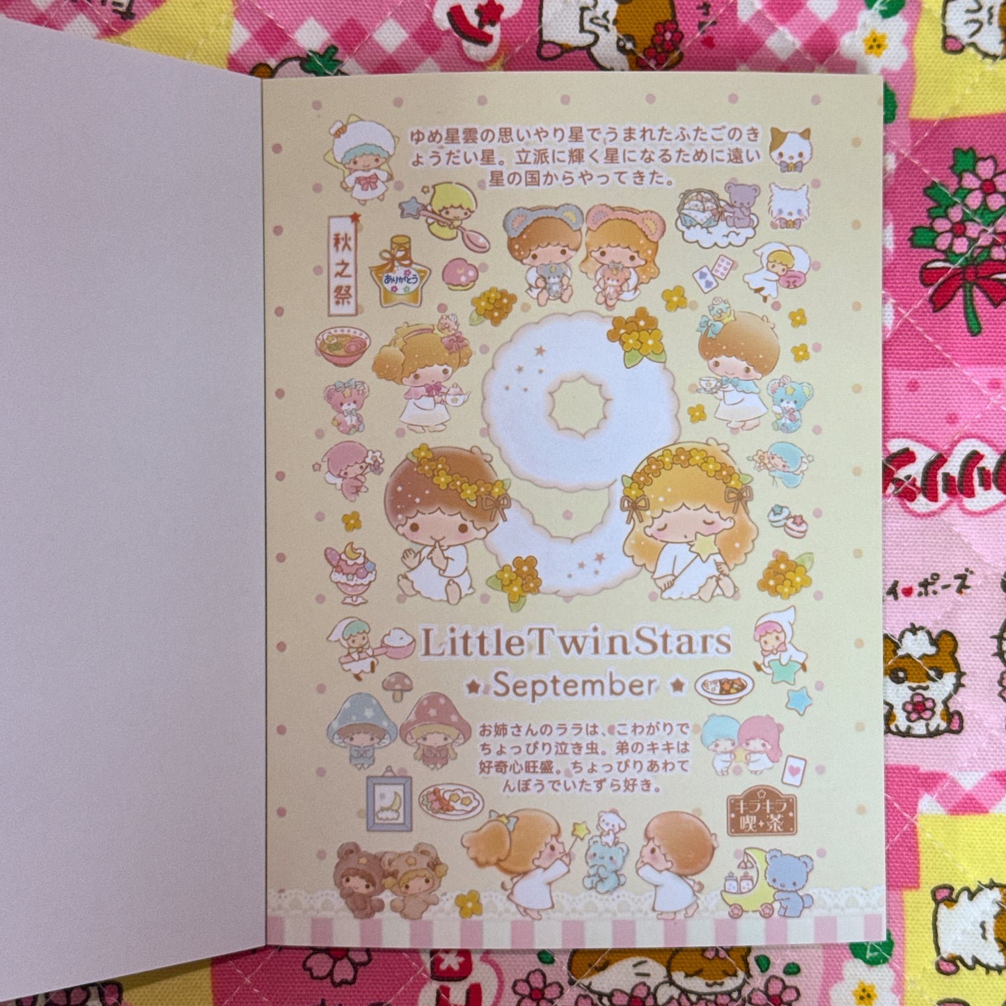Sticker Book ♡ 37 pages